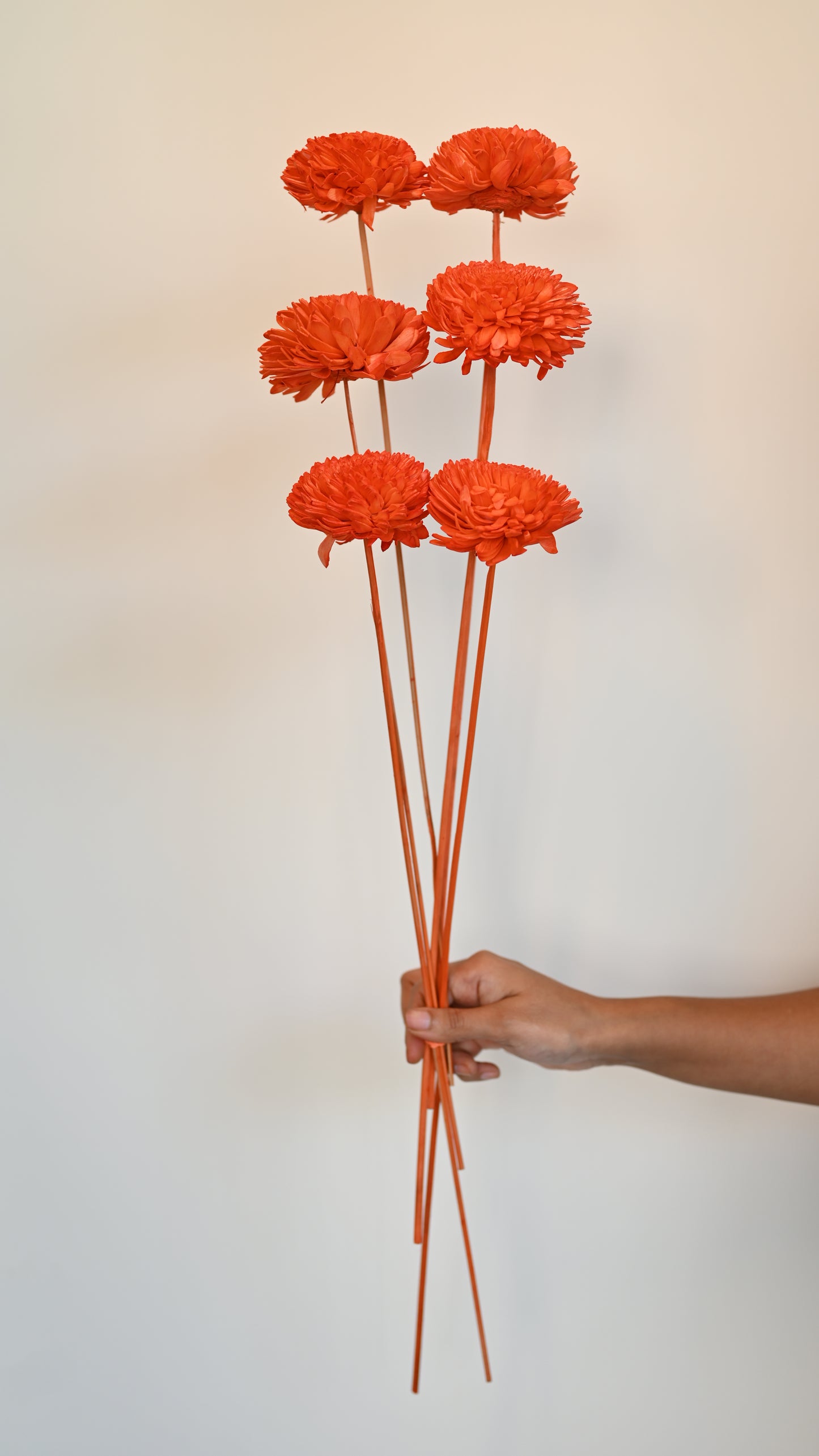 Shola Flower with Sticks -Ziniya - Orange-6cm