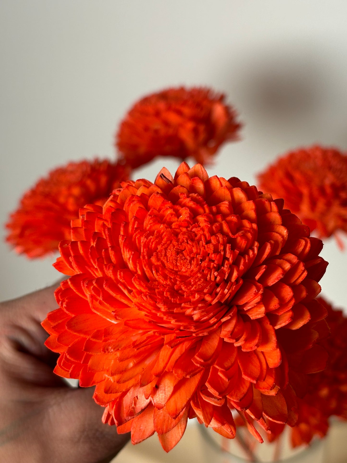 Shola Flower with Sticks -Ziniya - Orange-6cm