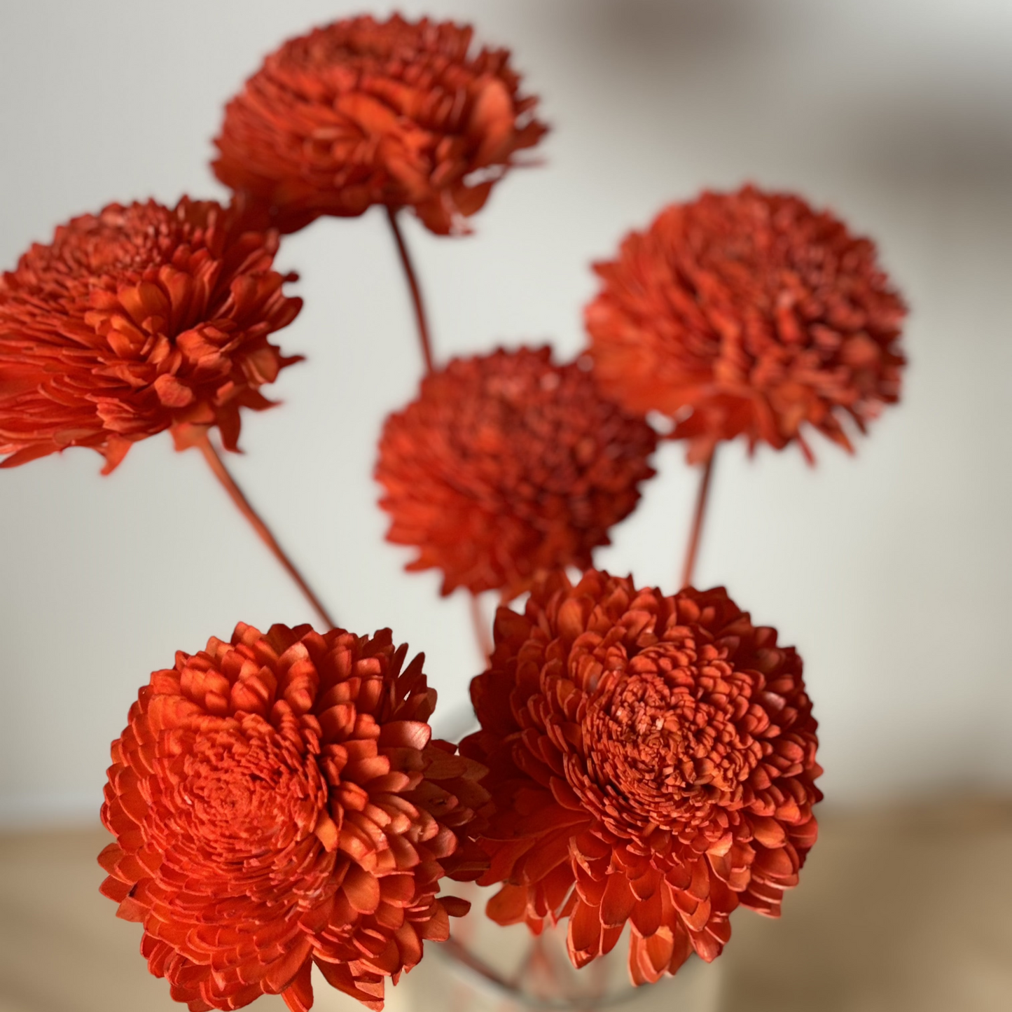 Shola Flower with Sticks -Ziniya - Orange-6cm